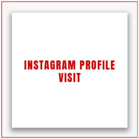 Instagram Profile Visit