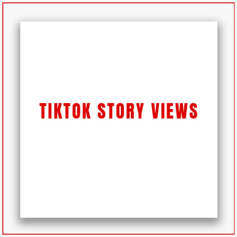 TikTok Story Views
