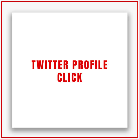 Twitter Profile Click