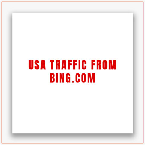 USA Traffic from Bing.com