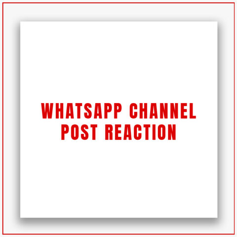 Whatsapp Channel Post Reaction